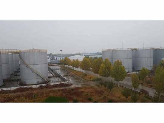 廠(chǎng)容廠(chǎng)貌